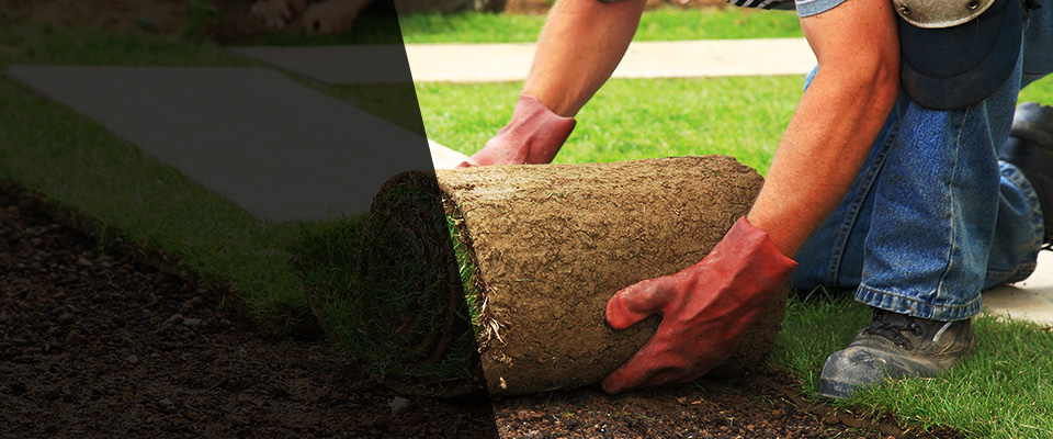 Flagstaff Landscapers